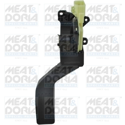 Accelerator Pedal Unit